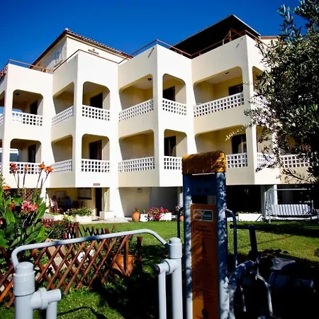 Olivensun 2